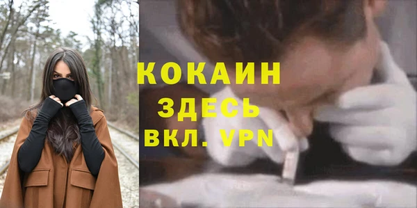 индика Усмань