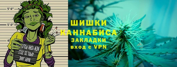 индика Усмань