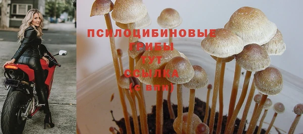 стаф Усинск