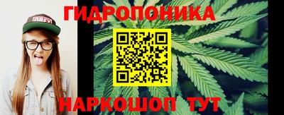 бошки Волгодонск