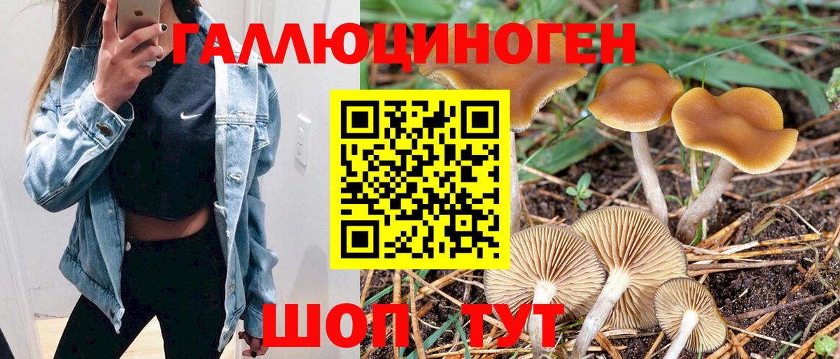 Псилоцибиновые грибы MAGIC MUSHROOMS Благодарный