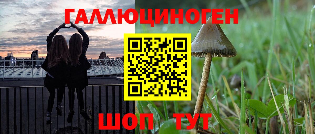Галлюциногенные грибы Psilocybine cubensis  Благодарный 