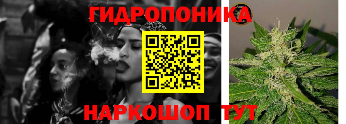Марихуана марихуана Благодарный